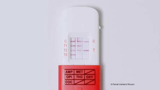 Microscreen OFT 7 Saliva Drug Test Kit – Drug Test Warehouse